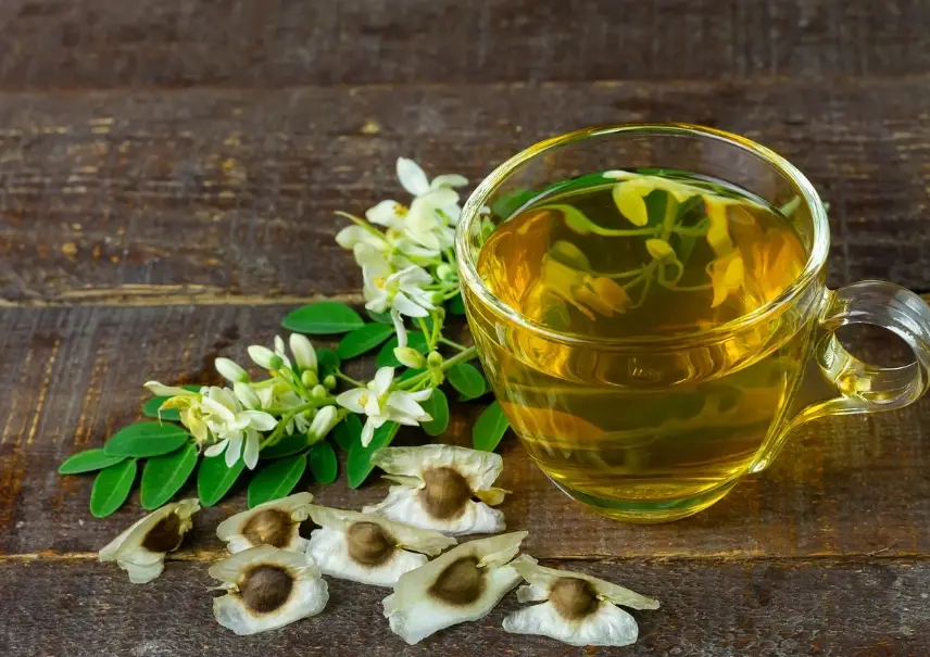 辣木茶副作用
