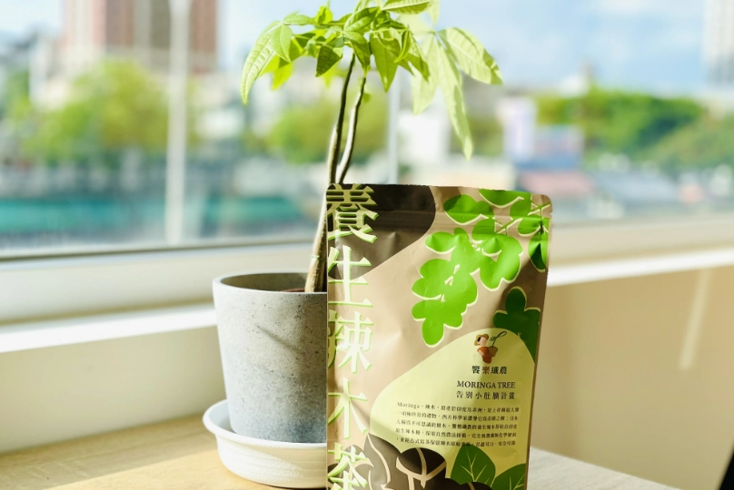 辣木茶怎麼喝