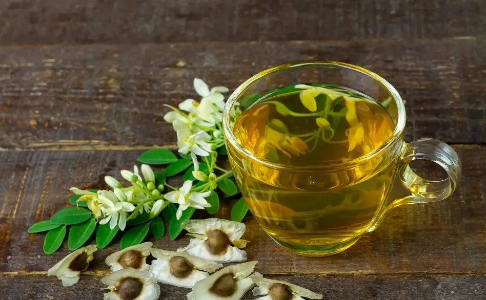 辣木茶禁忌