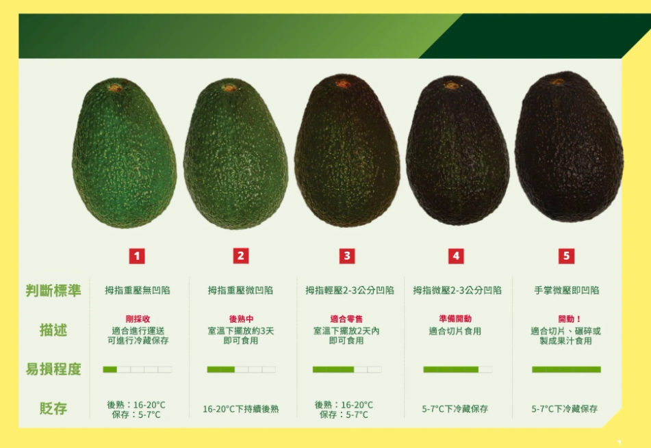 酪梨怎麼挑