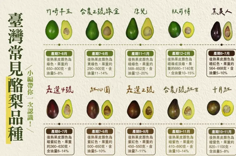 台灣酪梨品種