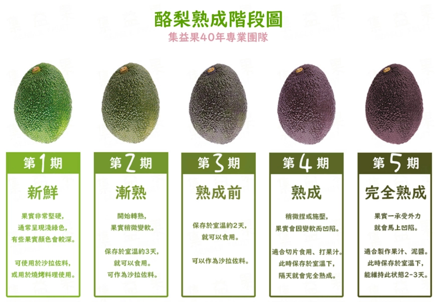 台灣酪梨品種