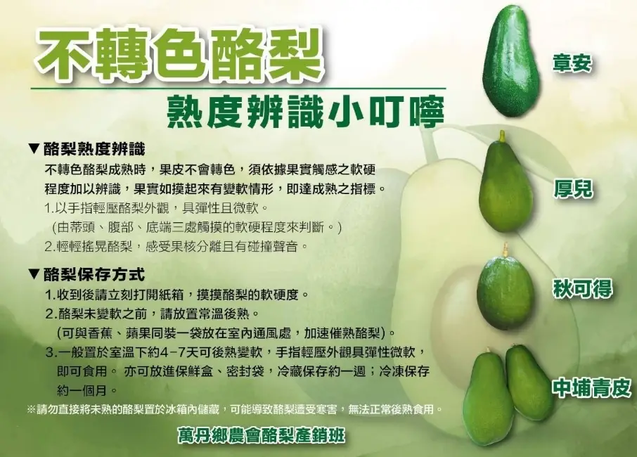 台灣酪梨品種