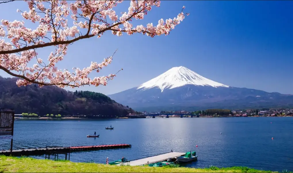 富士山露營