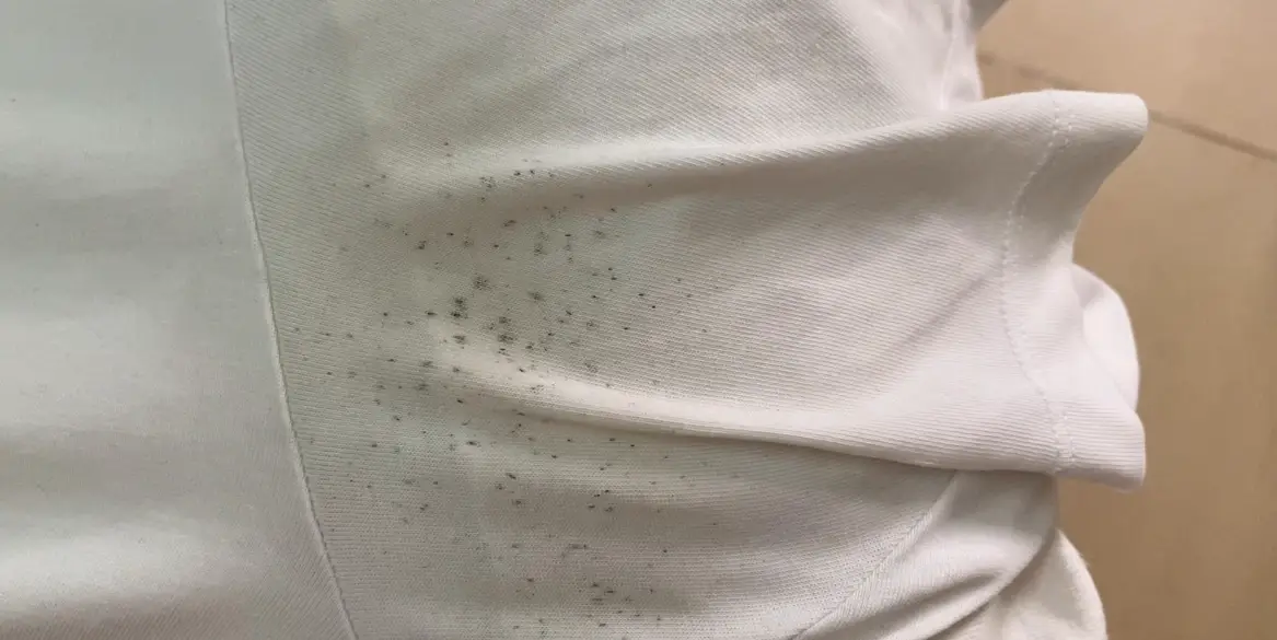 除霉方法