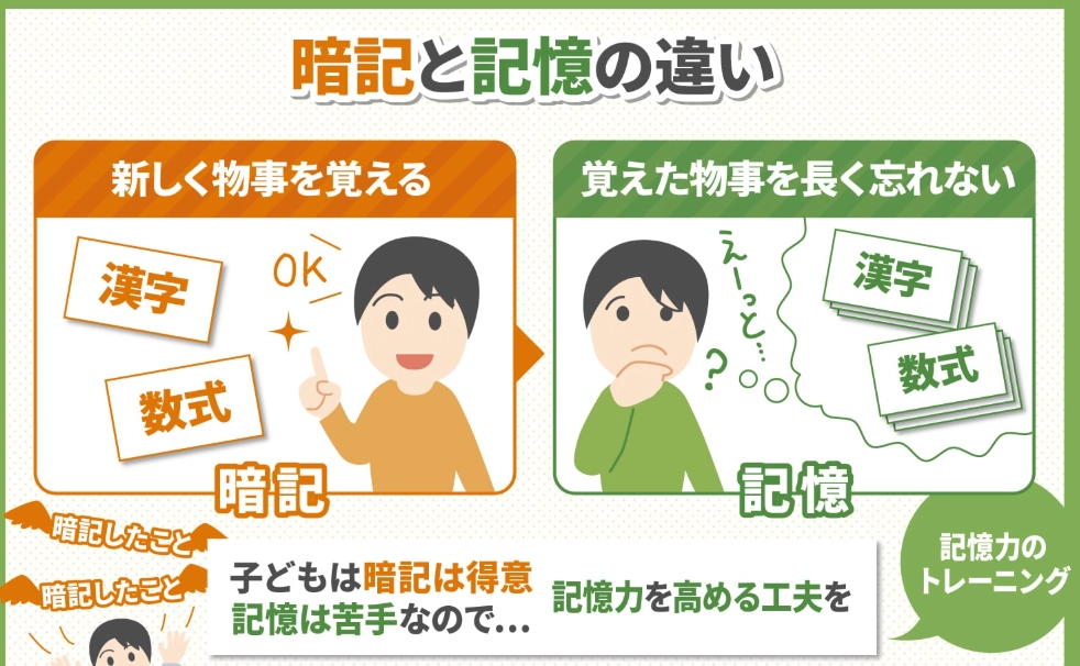 記憶力衰退改善 記憶力衰退改善