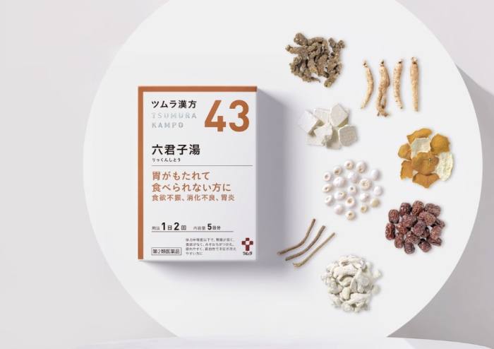 六君子湯 六君子湯