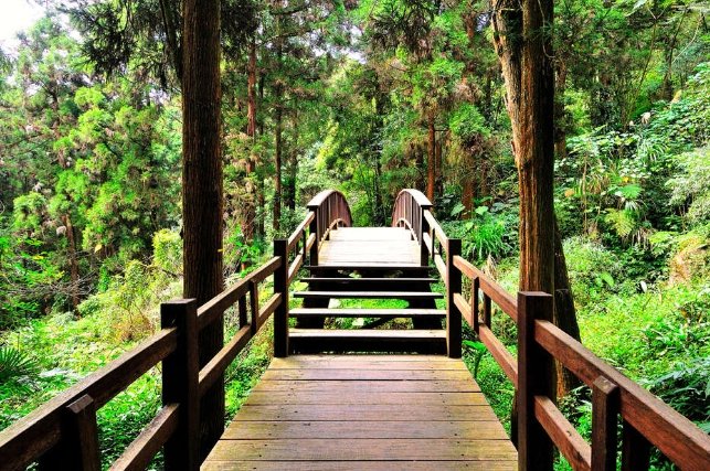 奮起湖風景區 奮起湖風景區