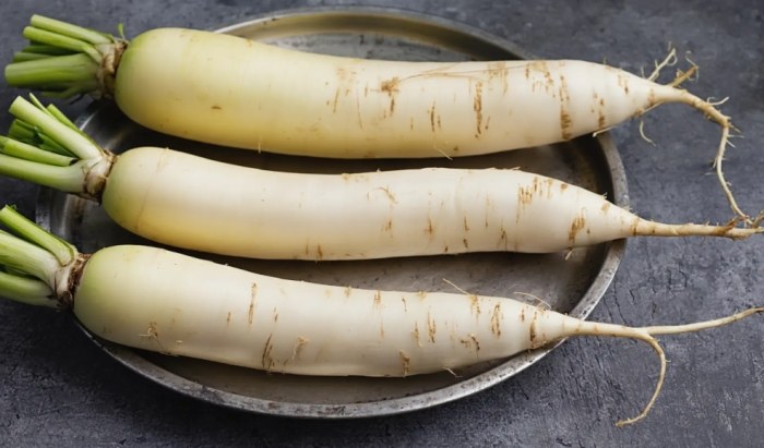 白蘿蔔食用注意 白蘿蔔食用注意