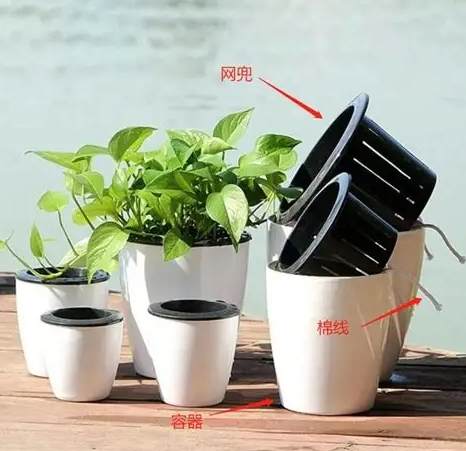 懒人花盆使用限制 懒人花盆使用限制