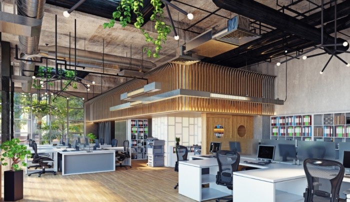 办公室植物风水 办公室植物风水