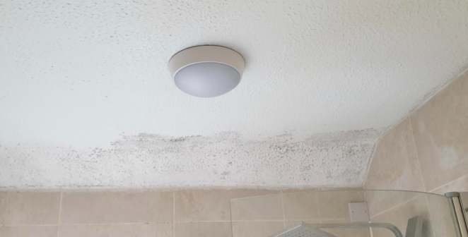 防霉油漆施工 防霉油漆施工