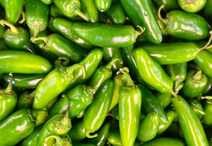 辣椒種植方法 辣椒種植方法