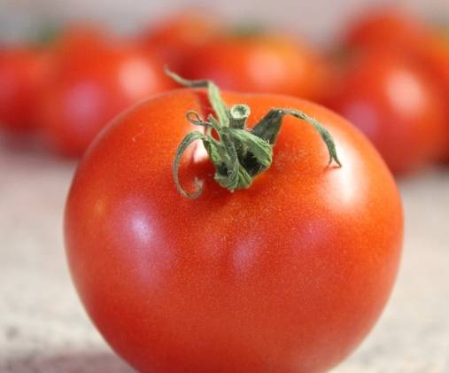 感冒咳嗽可以吃番茄嗎