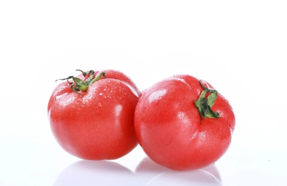 番茄要怎麼栽種 番茄要怎麼栽種