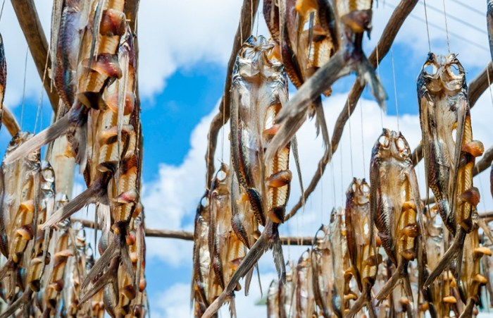 魚乾入境規定 魚乾入境規定