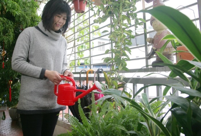 適合盆栽的蔬菜 適合盆栽的蔬菜