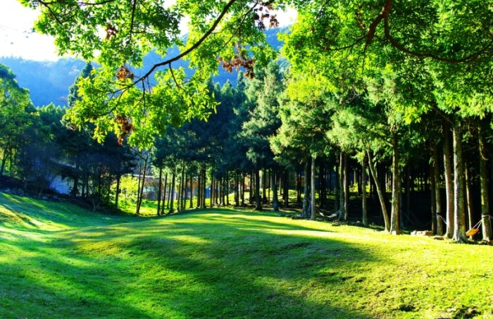 惠蓀林場行程 惠蓀林場行程