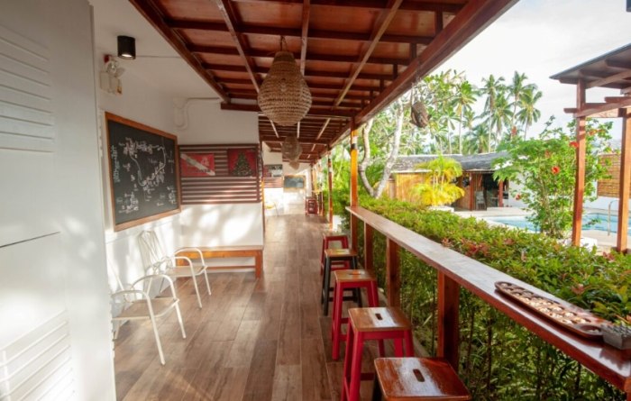 雞蛋花種植 雞蛋花種植