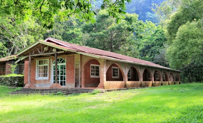 南投必買伴手禮 南投必買伴手禮