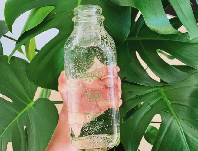 過濾水澆花注意事項