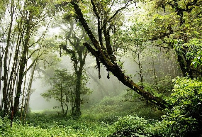 台灣山區天氣 台灣山區天氣