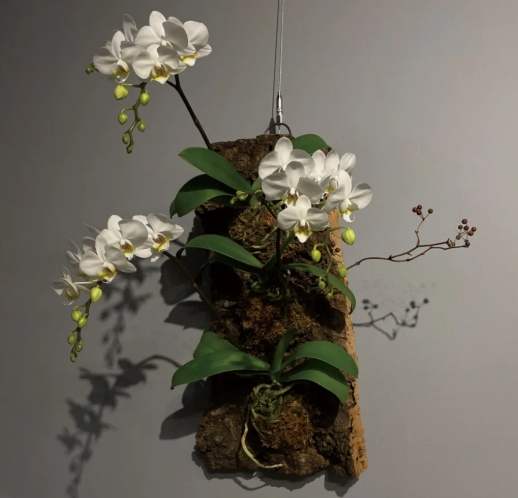 板植方法 板植方法