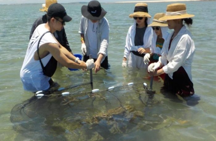 澎湖貝殼攜帶規定 澎湖貝殼攜帶規定