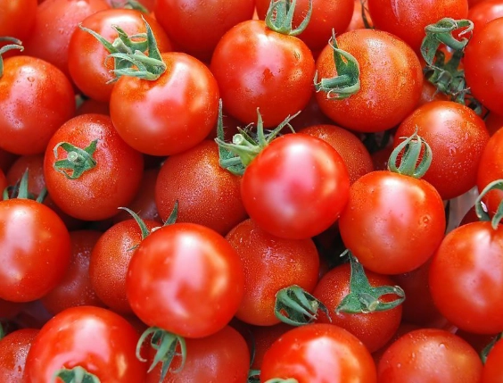 牛奶番茄拉肚子