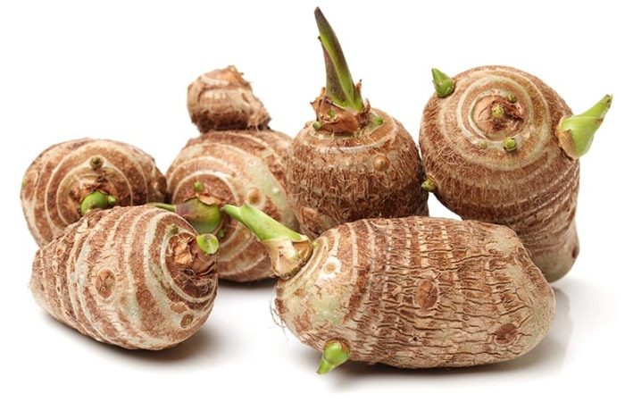 芋頭髮芽可以吃嗎