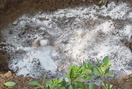 生根粉有效成分