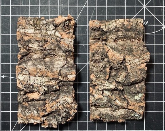 樹皮介質發霉原因