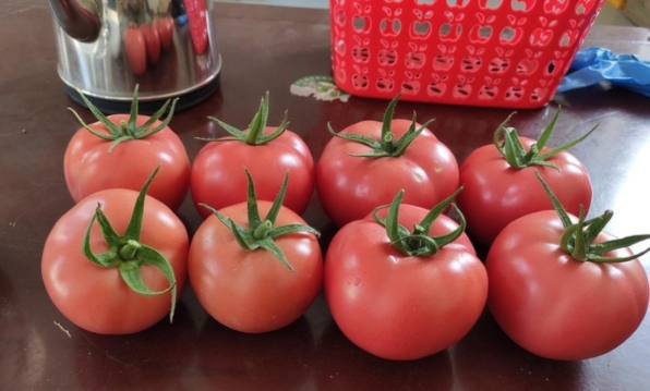 番茄牛奶副作用