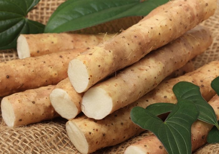 發芽山藥食用安全