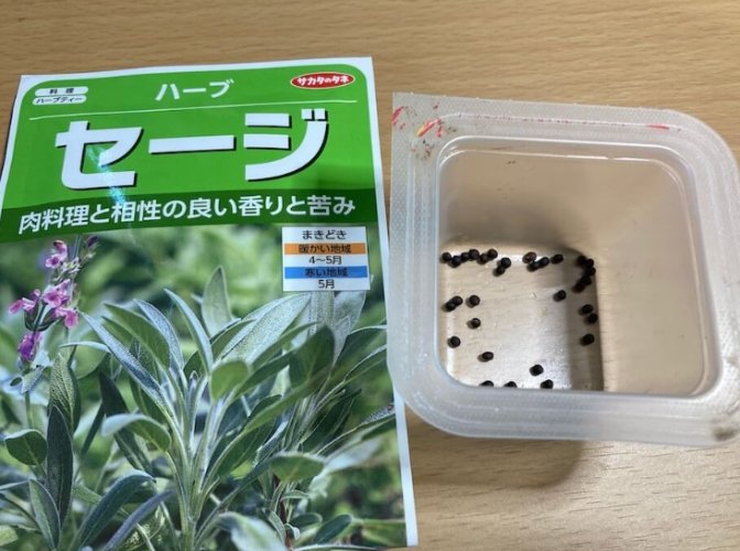 森樹水種方法 森樹水種方法