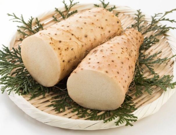 發芽山藥食用安全