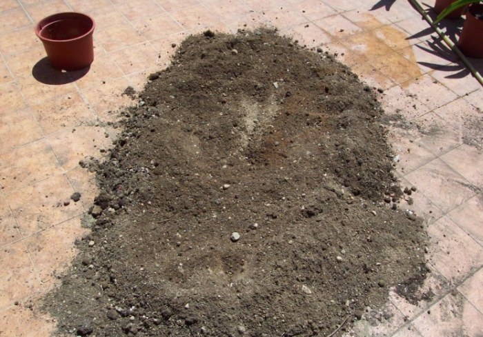 植物養護 植物養護