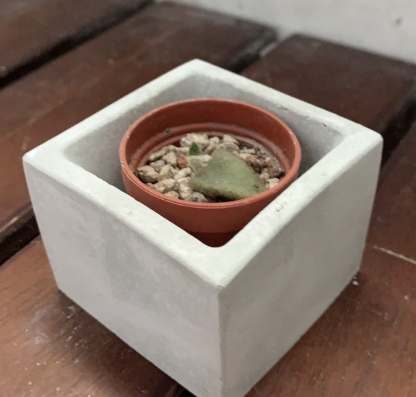 去除水泥盆鹼性