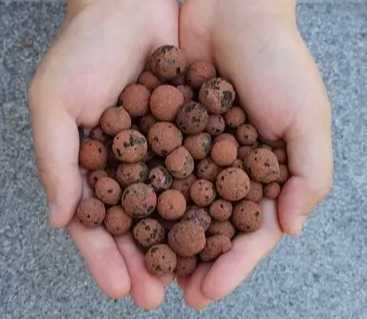 水耕發泡煉石應用