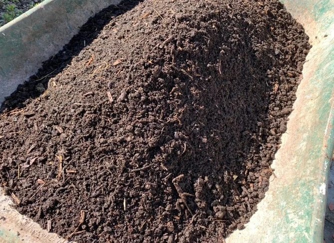 土壤發霉原因 土壤發霉原因