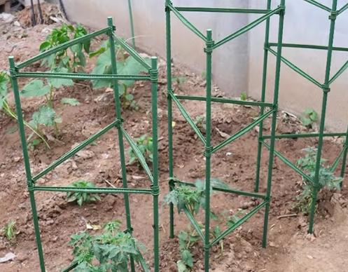 番茄支架推薦 番茄支架推薦