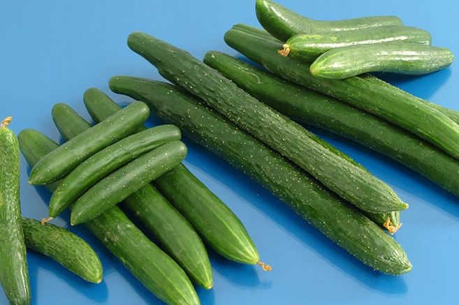 小黃瓜冷藏期限