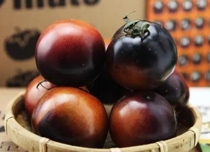 黑柿番茄什麼時候種