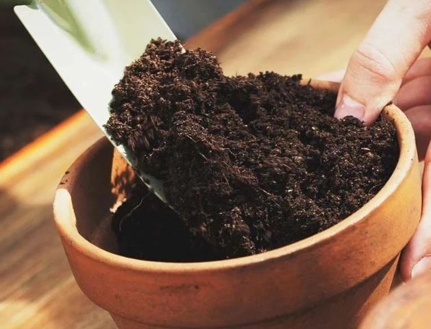 靚土發霉處理 靚土發霉處理