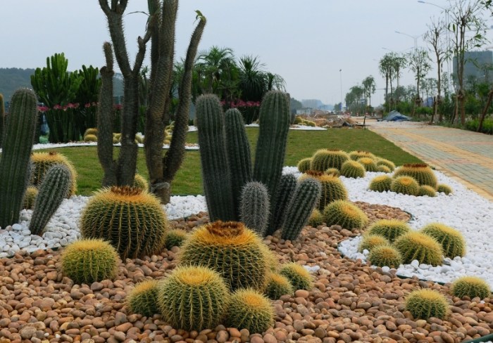 植物軟趴趴處理方法 植物軟趴趴處理方法