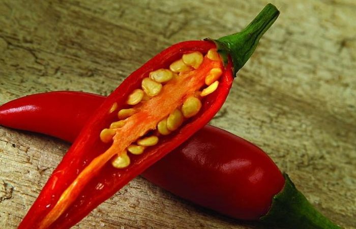 辣椒過度澆水症狀