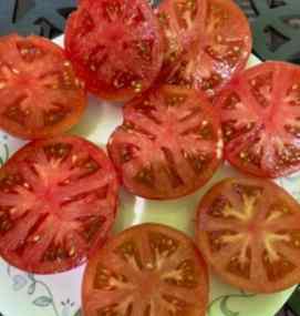 番茄空心果防治