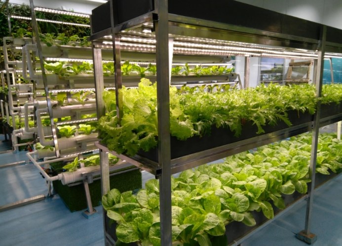 有機營養液配方