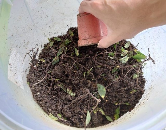 土壤白垢處理 土壤白垢處理