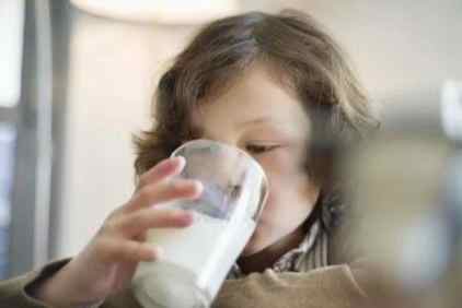 地瓜牛奶消化不良 地瓜牛奶消化不良